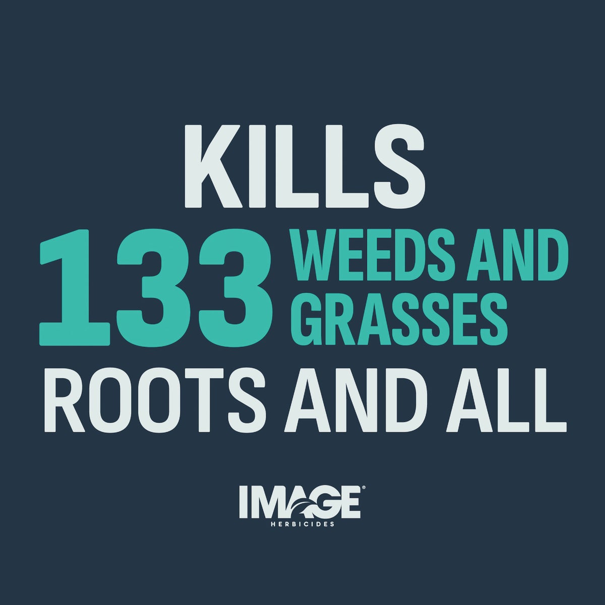 Lilly Miller Image 10 Lb. Granular Noxall Vegetation Killer Image 6