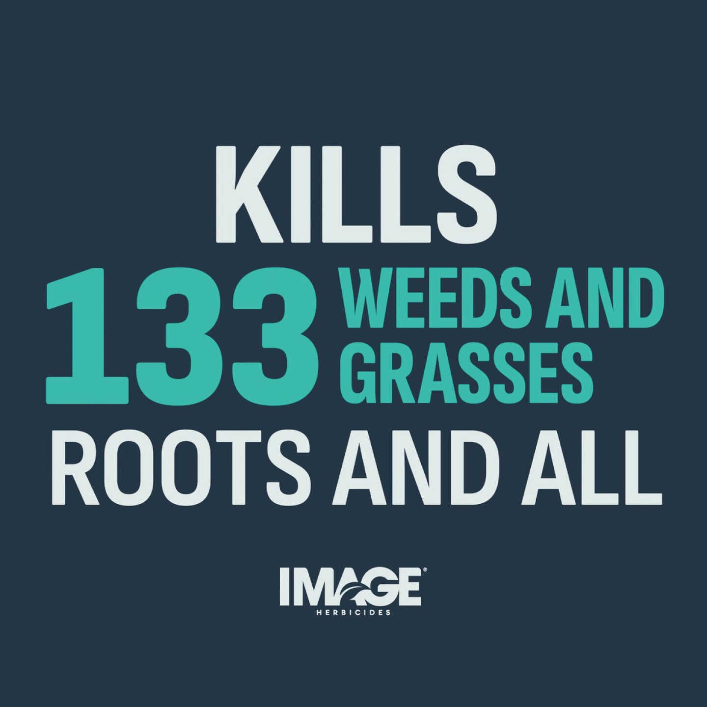 Lilly Miller Image 10 Lb. Granular Noxall Vegetation Killer Image 6