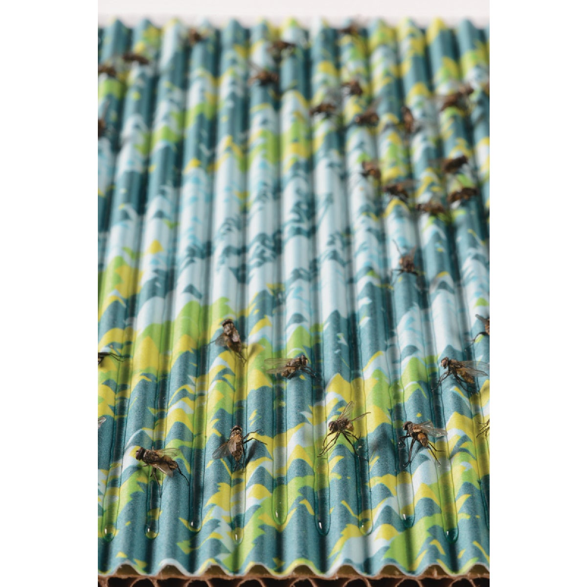 Rescue FlyPad Disposable Fly Trap (2-Pack) Image 6