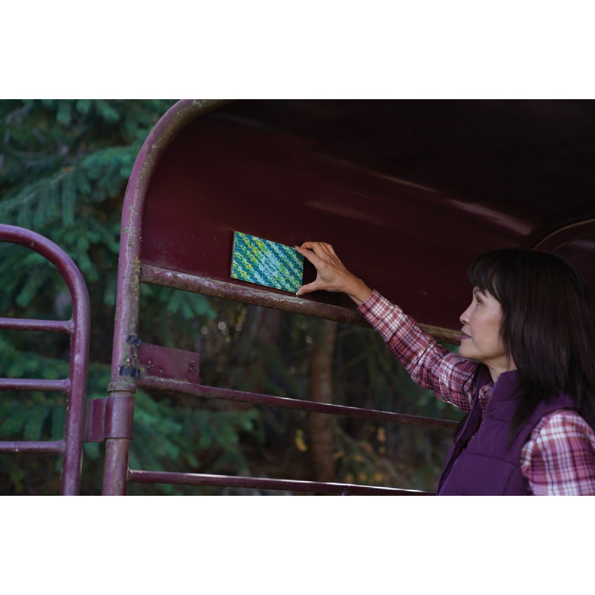 Rescue FlyPad Disposable Fly Trap (2-Pack) Image 3