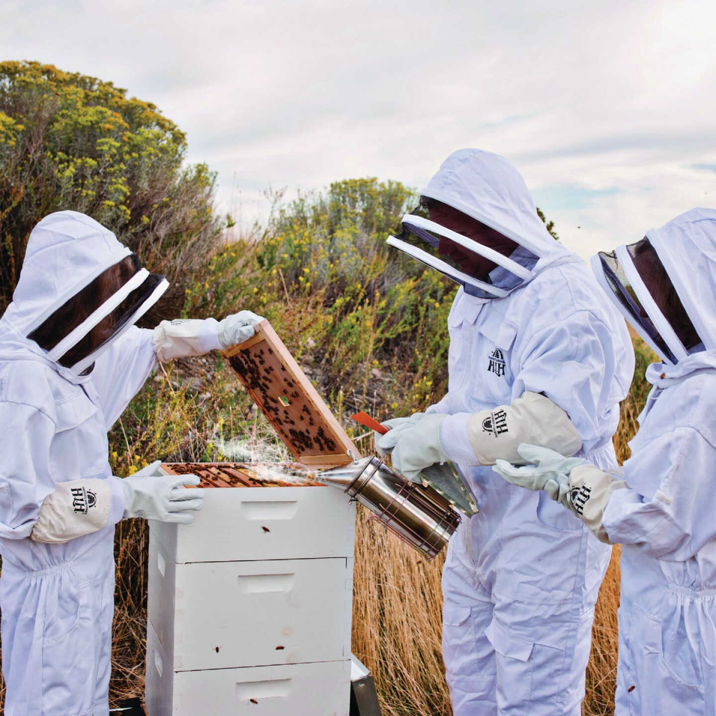 Harvest Lane Honey XL Goatskin Beekeeping Gloves Image 3