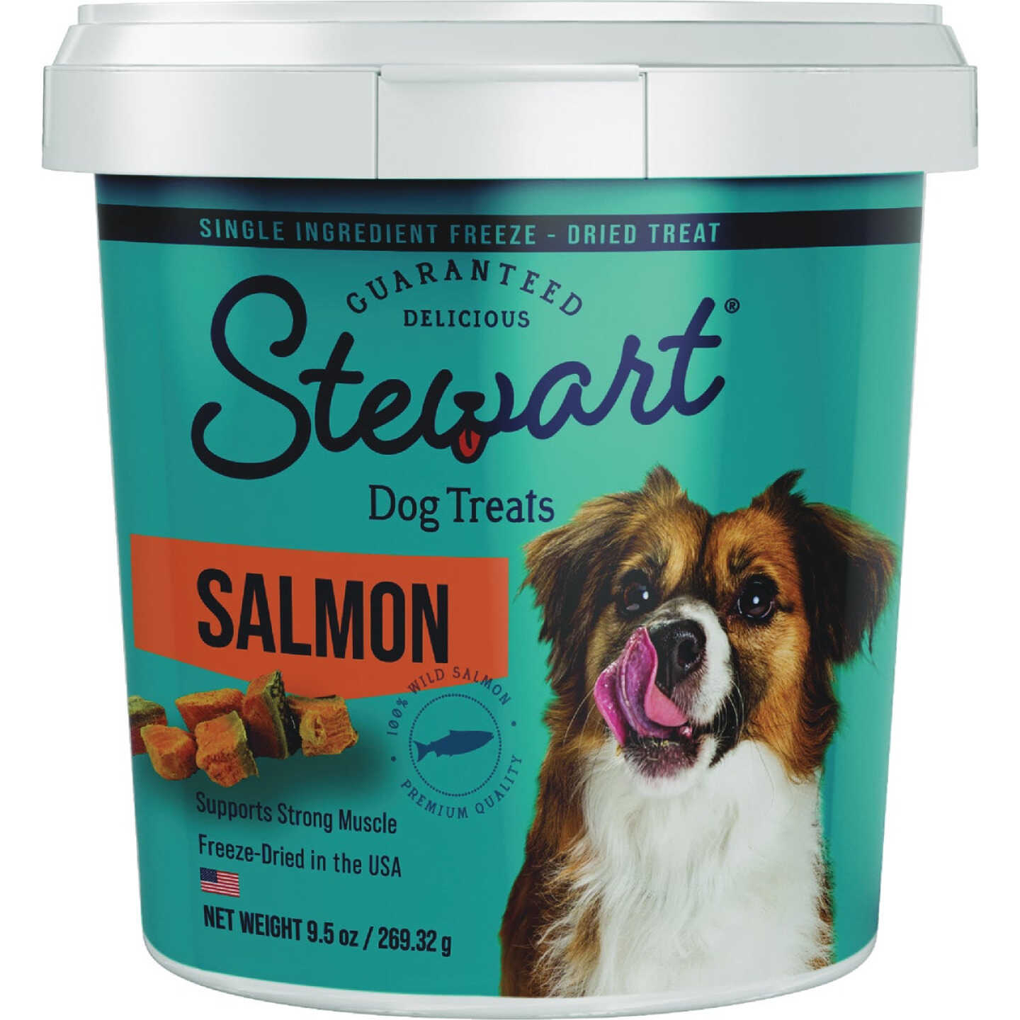 Stewart 9.5 Oz. Wild Salmon Dog Treat Image 1