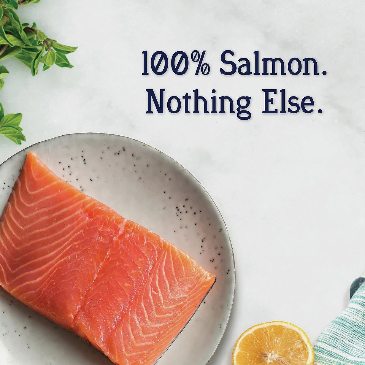 Stewart 9.5 Oz. Wild Salmon Dog Treat Image 3