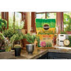 Miracle-Gro 8 Qt. Fast Draining Cactus, Palm & Citrus Potting Mix Image 5