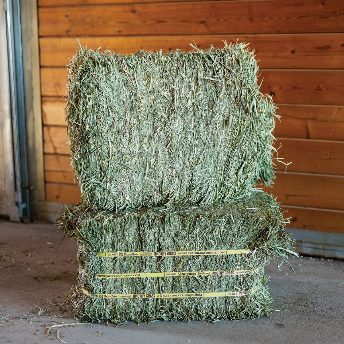 Standlee Premium Western Forage 50 Lb. Certified Timothy Compressed Bale Image 5