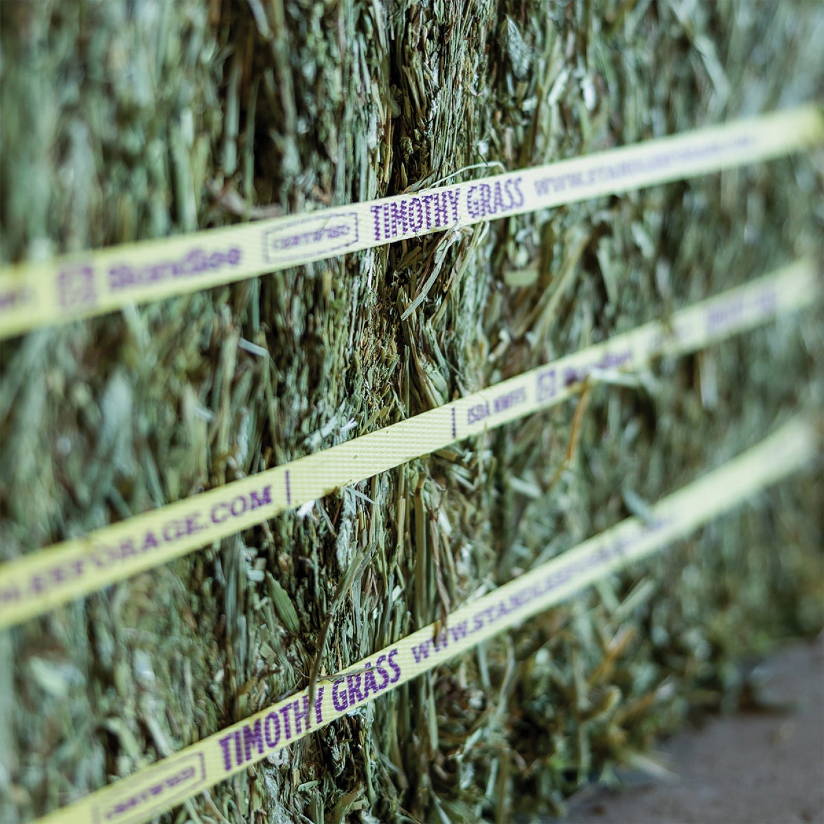 Standlee Premium Western Forage 50 Lb. Certified Timothy Compressed Bale Image 6