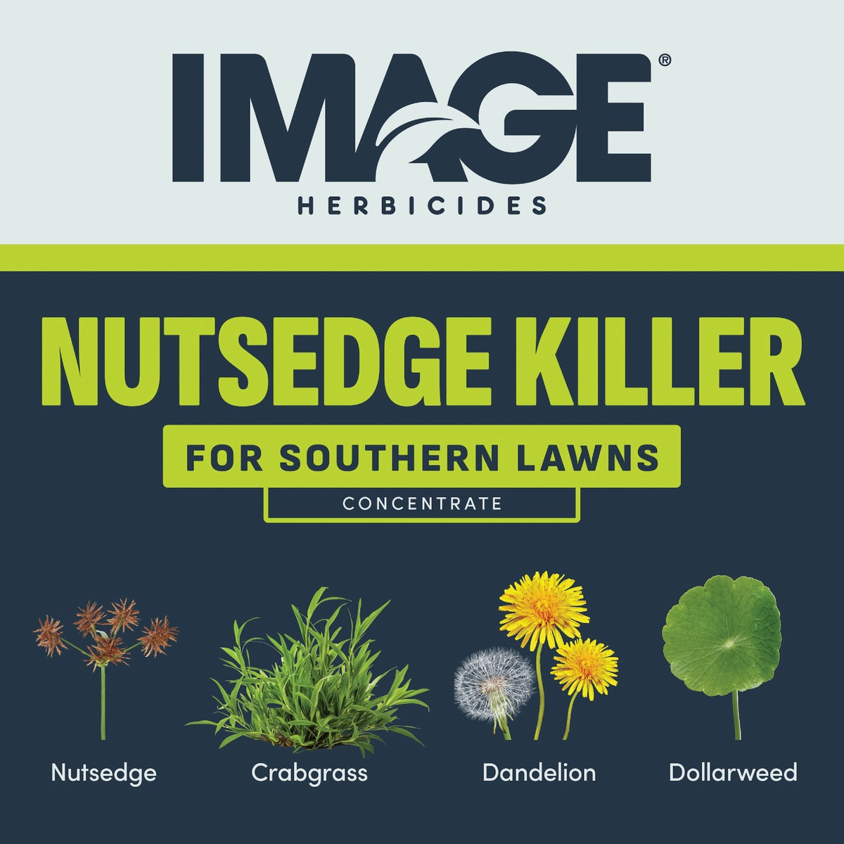 Image 24 Oz. Concentrate Southern Lawn Nutsedge & Weed Killer Image 3