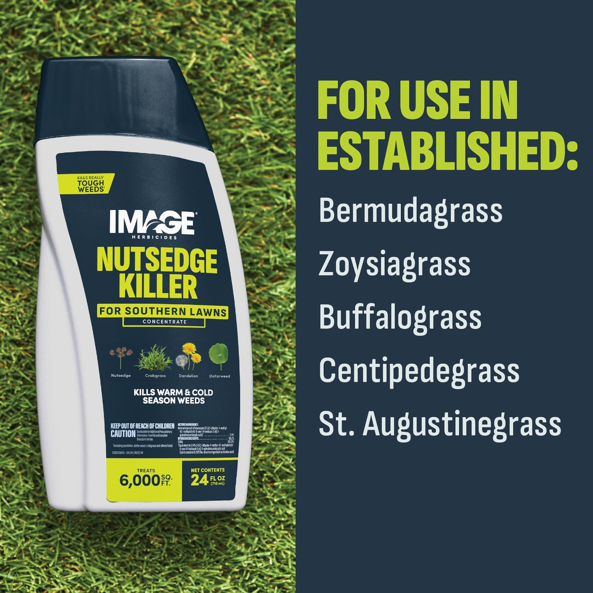 Image 24 Oz. Concentrate Southern Lawn Nutsedge & Weed Killer Image 4