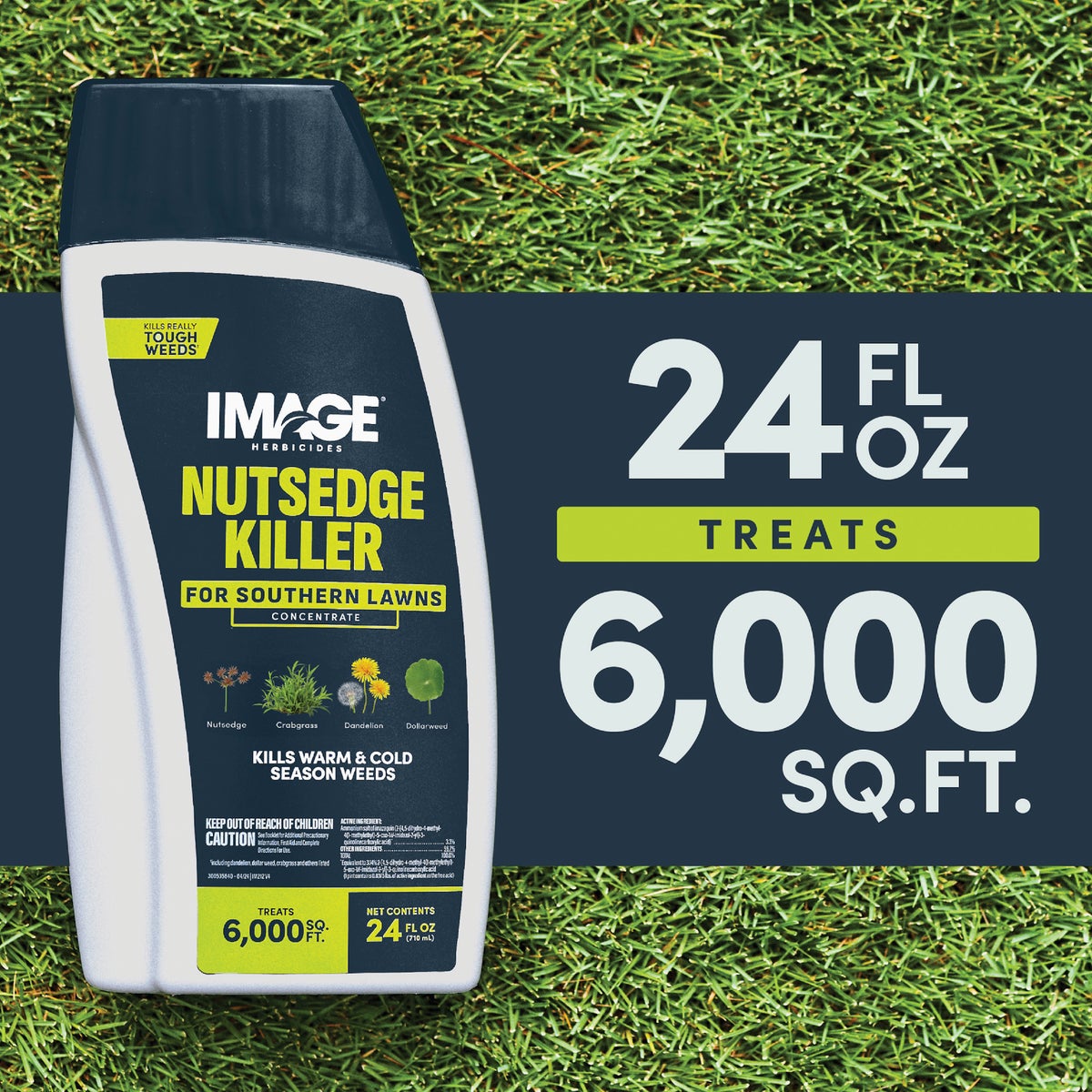Image 24 Oz. Concentrate Southern Lawn Nutsedge & Weed Killer Image 6