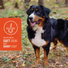 VetIQ 7.4 Oz. Skin & Coat Chews (60-Pack) Image 2