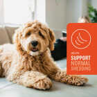 VetIQ 7.4 Oz. Skin & Coat Chews (60-Pack) Image 3