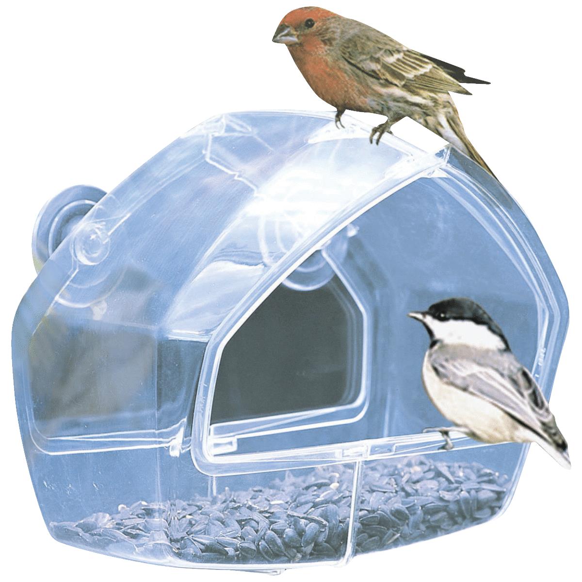 Bird Feeders & Accessories