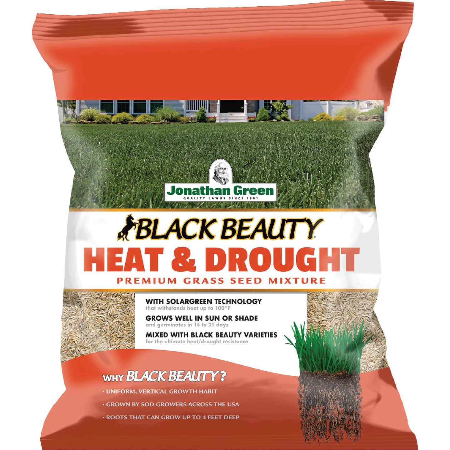 Jonathan Green Black Beauty 7 Lb. Texas Bluegrass Heat & Drought Resistant Grass Seed Image 1