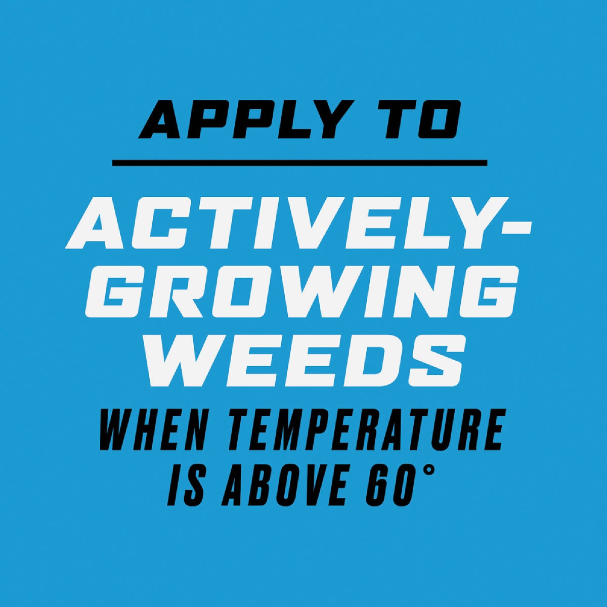 Ortho GroundClear Super 1 Gal. Refill Weed & Grass Killer Image 5