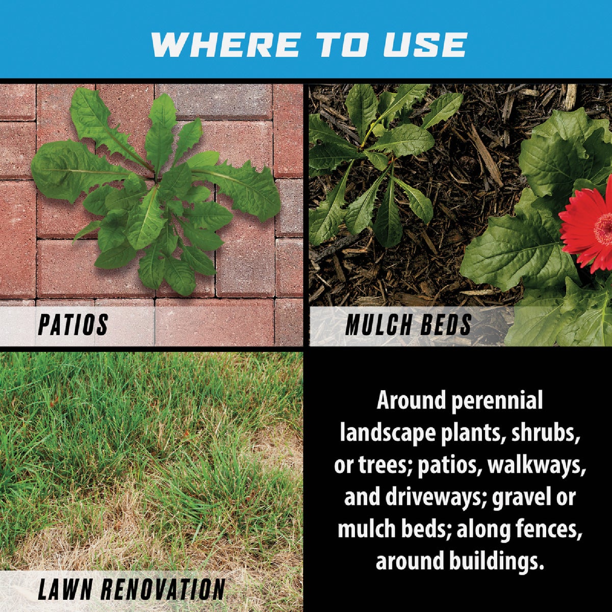 Ortho GroundClear Super 1 Gal. Refill Weed & Grass Killer Image 4