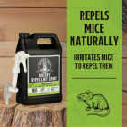 Grandpa Gus's 1 Gal. Ready To Use Trigger Spray All Natural Mouse Repellent Spray Image 2