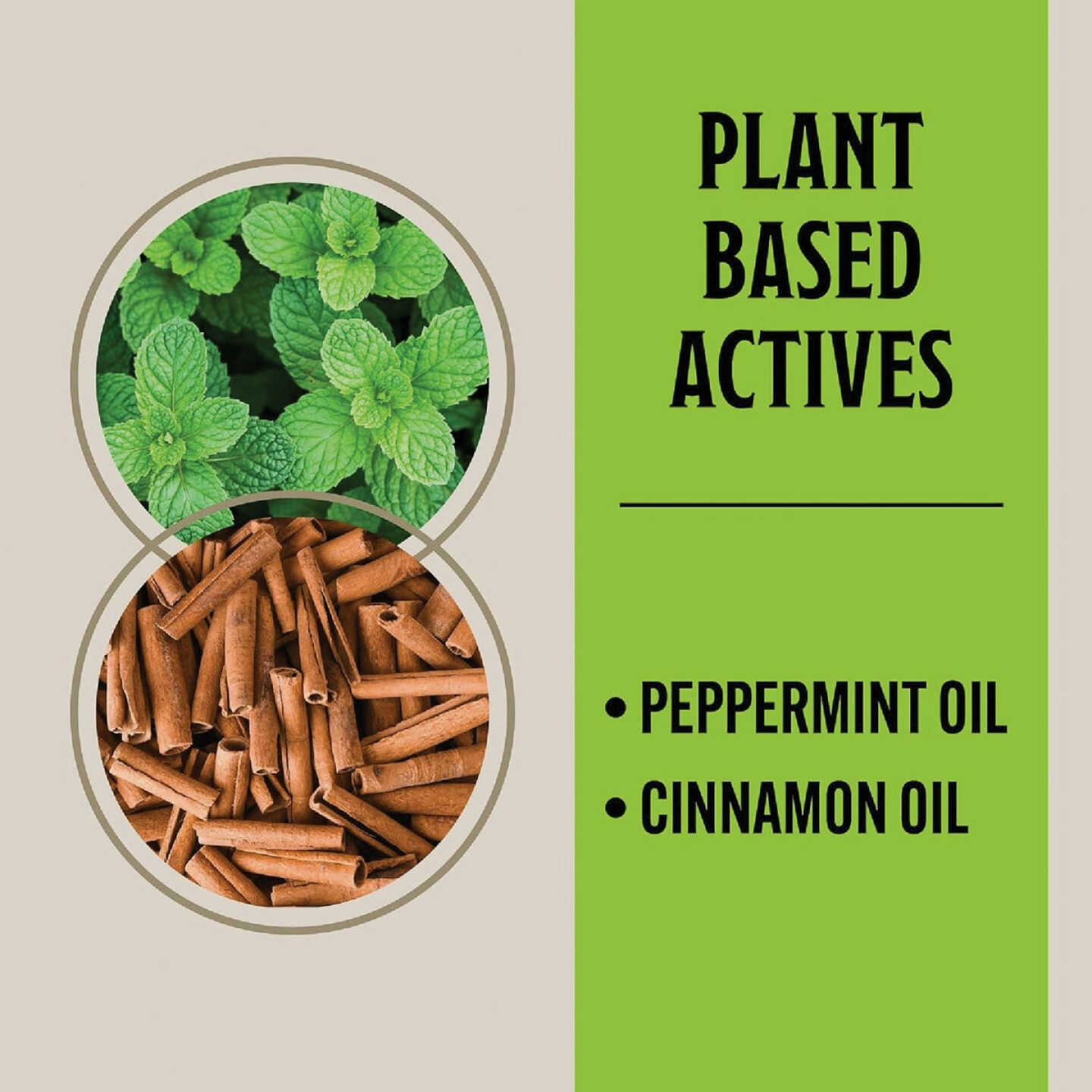 Grandpa Gus's 1 Gal. Ready To Use Trigger Spray All Natural Mouse Repellent Spray Image 3