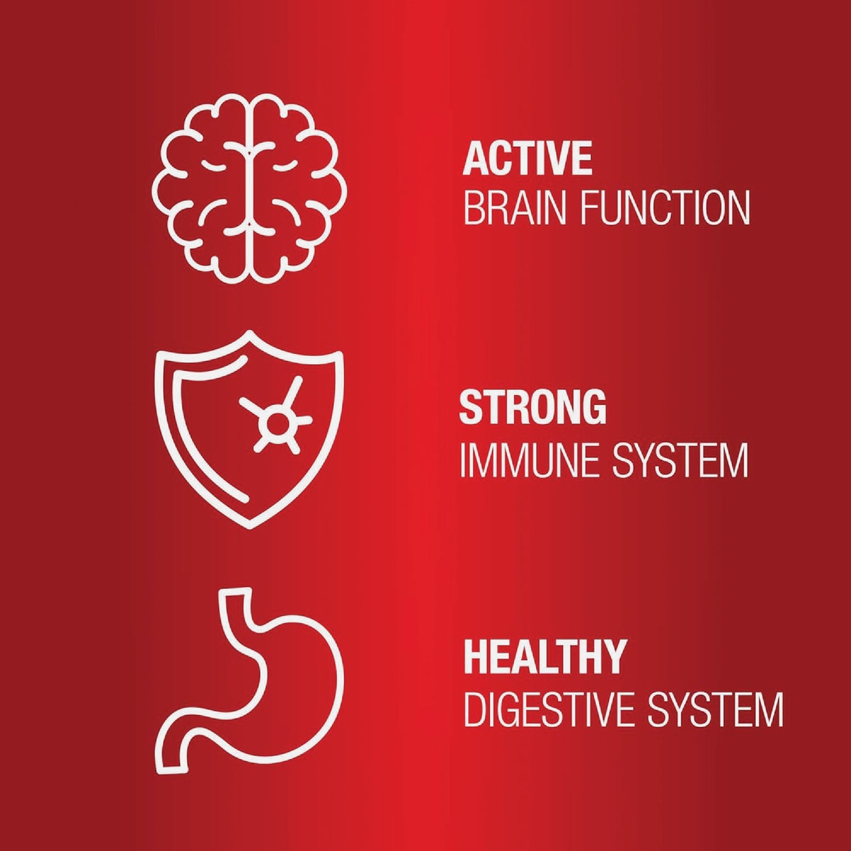 VetIQ 7.4 Oz. Multi Vitamin Dog Chew (60-Pack) Image 3