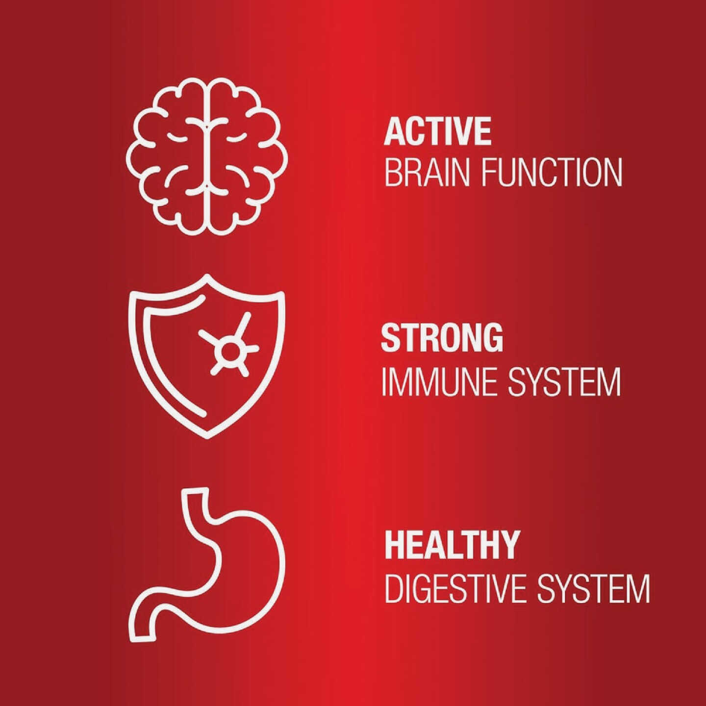 VetIQ 7.4 Oz. Multi Vitamin Dog Chew (60-Pack) Image 3