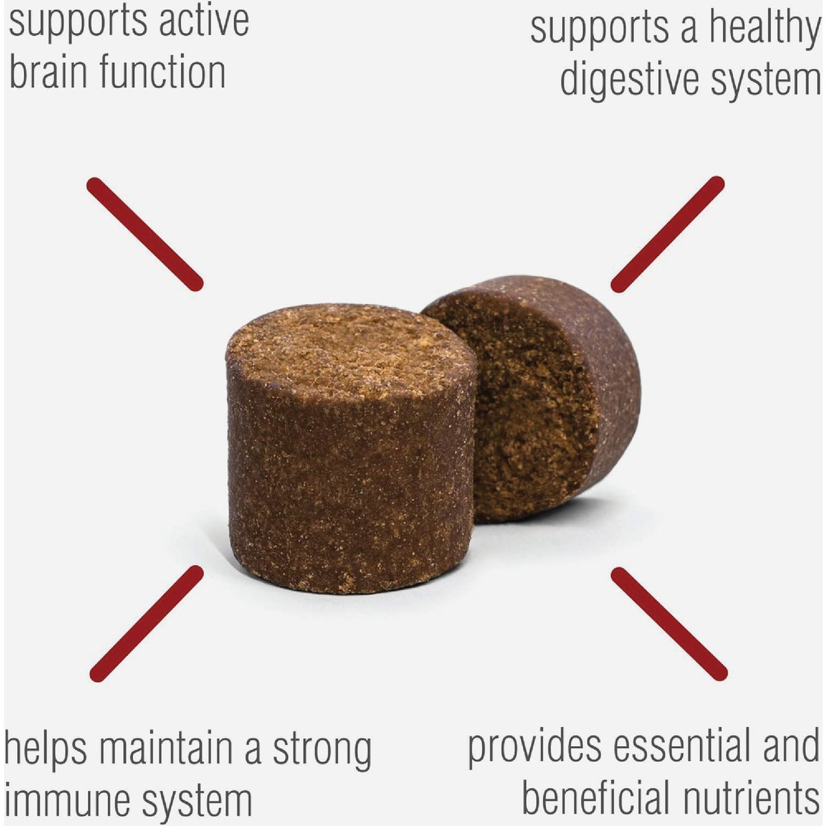 VetIQ 7.4 Oz. Multi Vitamin Dog Chew (60-Pack) Image 2