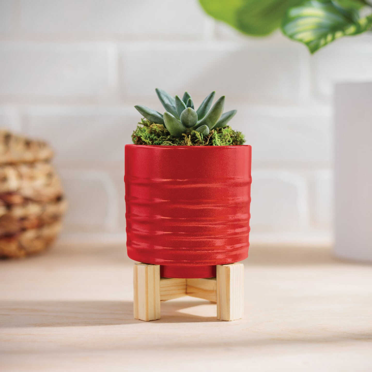 Krylon Short Cuts Red Pepper High Gloss 1 Fl. Oz. Hobby Paint Image 3