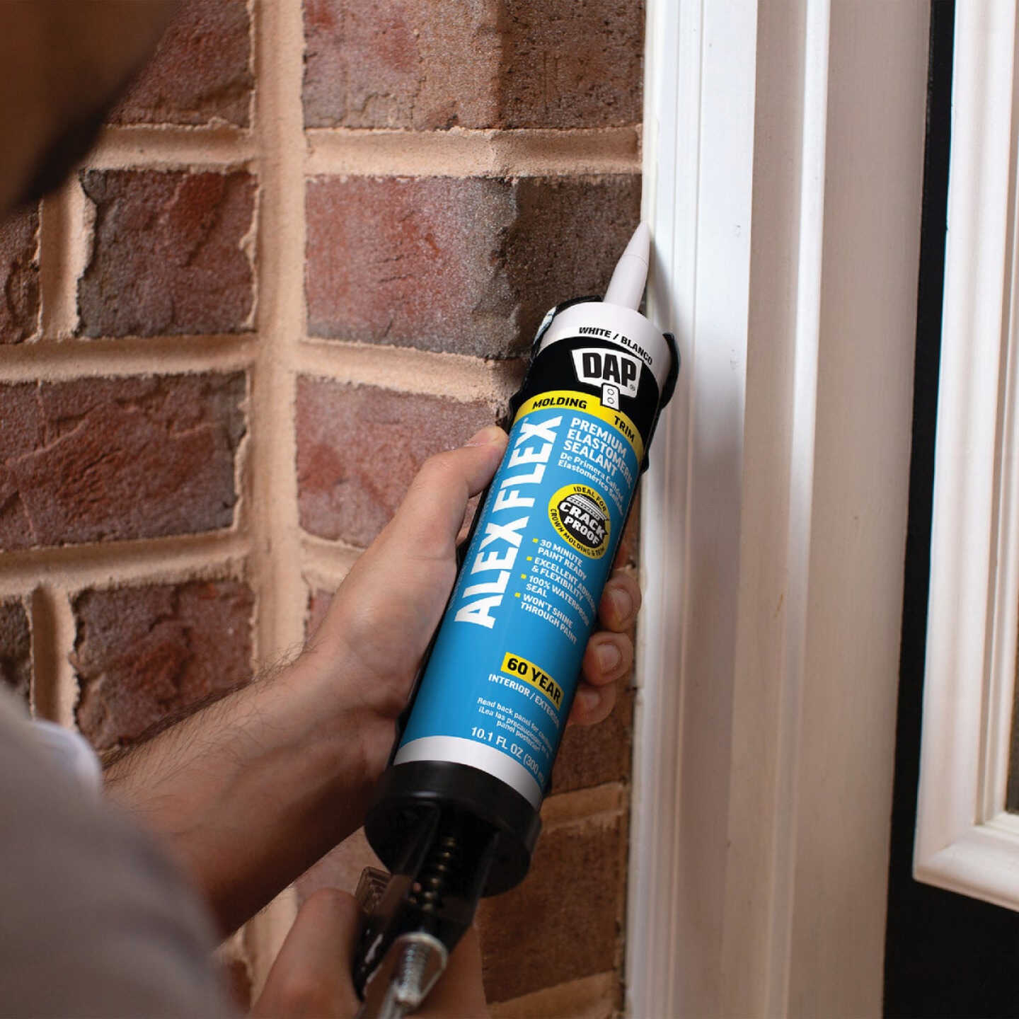 Dap Alex Flex 10.1 Oz. Premium Molding & Trim Acrylic Latex Siliconized Sealant, White Image 5