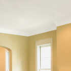 Zinsser Latex Paint & Primer In One Stainblock Flat Ceiling Paint, Bright White, 1 Gal. Image 2