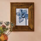 Minwax Wood Finish Penetrating Stain, Honey, 1/2 Pt. Image 3