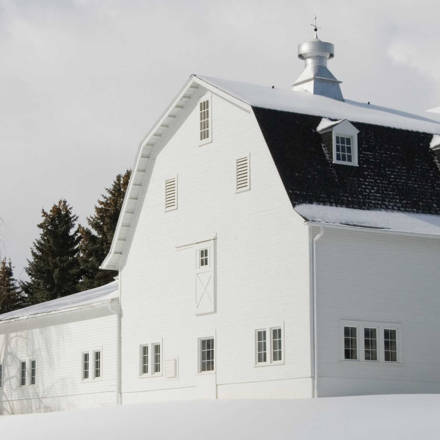 Valspar Latex Paint & Primer In One Flat Barn & Fence Paint, White, 5 Gal. Image 3