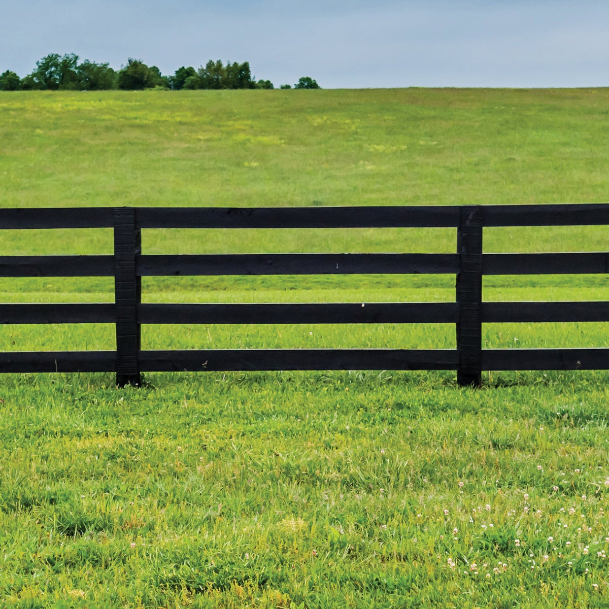 Valspar Alkyd Exterior Oil Paint & Primer In One Barn & Fence Paint, Black, 5 Gal. Image 4