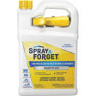Spray & Forget 1 Gal. Ready-to-Use House & Deck Outdoor Cleaner Image 1