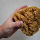 Trimaco SuperTuff 6 to 7 In. Natural Grass Sea Sponge Image 2