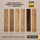 Minwax Wood Finish VOC Penetrating Stain, Ipswich Pine, 1 Gal. Image 2