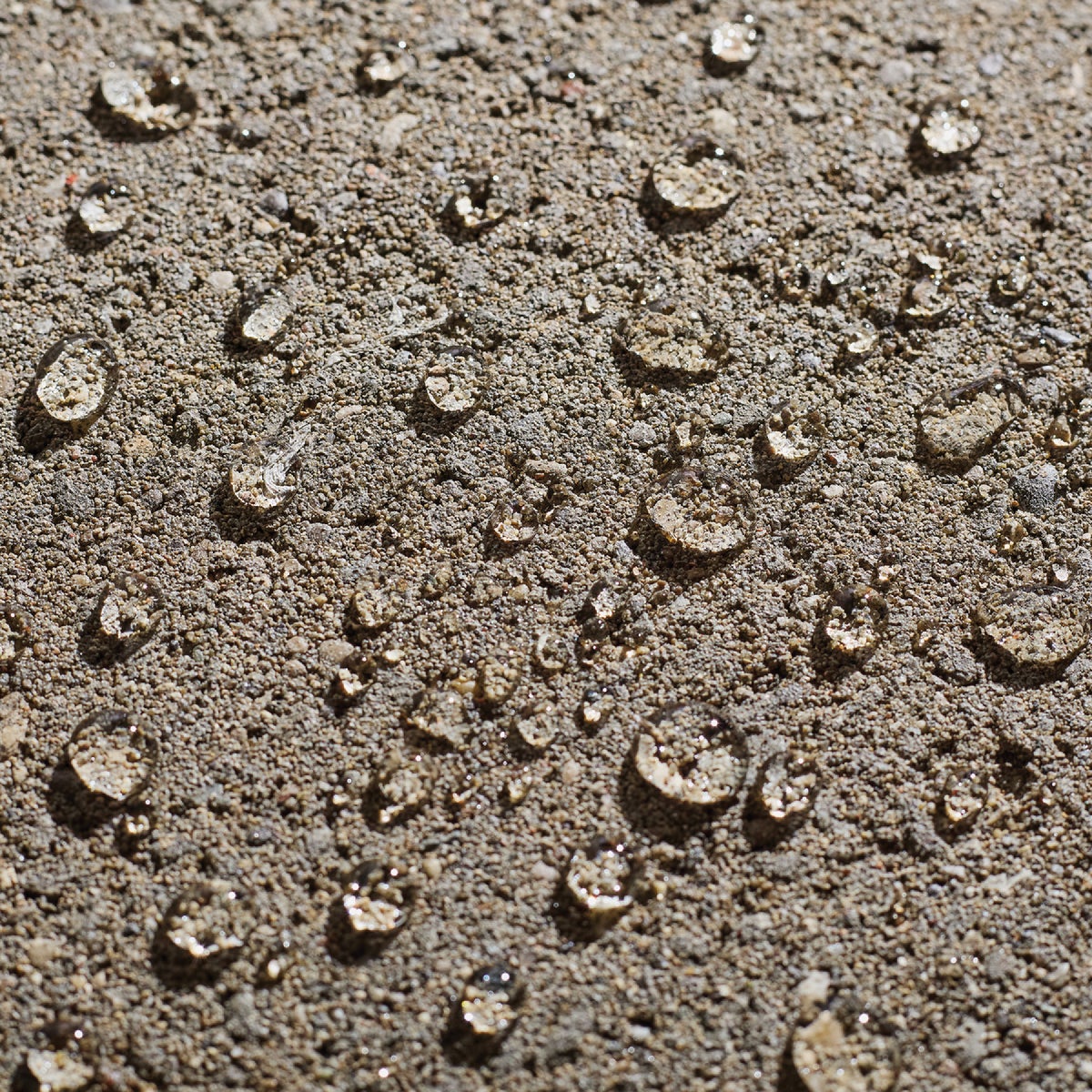 Thompsons WaterSeal Clear VOC MultiSurface Waterproofing Sealer, 1.2 Gal. Image 6