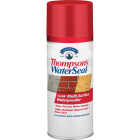 Thompson's WaterSeal Clear Water-Based MultiSurface Waterproofer Sealer, 12 Oz. Image 1
