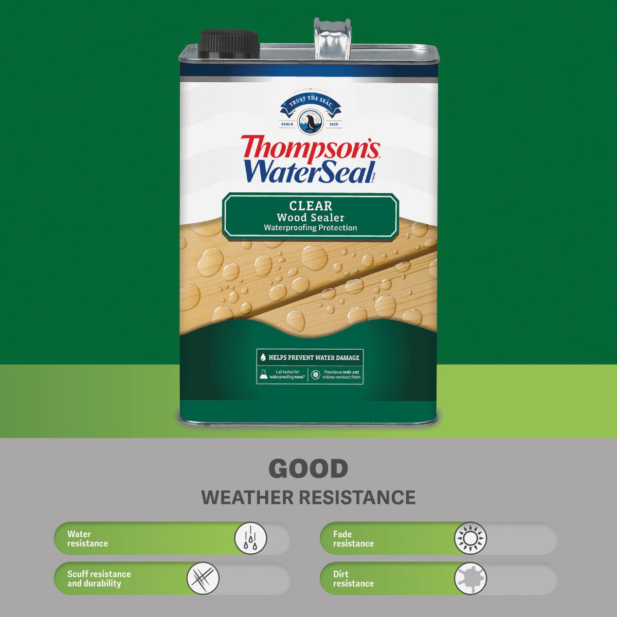Thompsons WaterSeal  1.2 Gal. Clear Wood Sealer Image 3