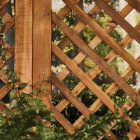 Cabot Australian Timber Oil Low VOC, Honey Teak, 1 Qt. Image 6