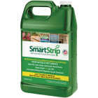 Dumond Smart Strip Advanced Paint Remover, 1 Gal. Image 1