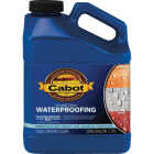 Cabot 1000 Clear Silicone Waterproofing Sealer, 1 Gal. Image 1