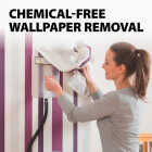 Wagner 725 Power Steamer Steam Cleaner for Wallpaper Removal (2 Steamplates Included) Image 2