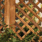 Cabot Australian Timber Oil, Honey Teak, 1 Qt. Image 6