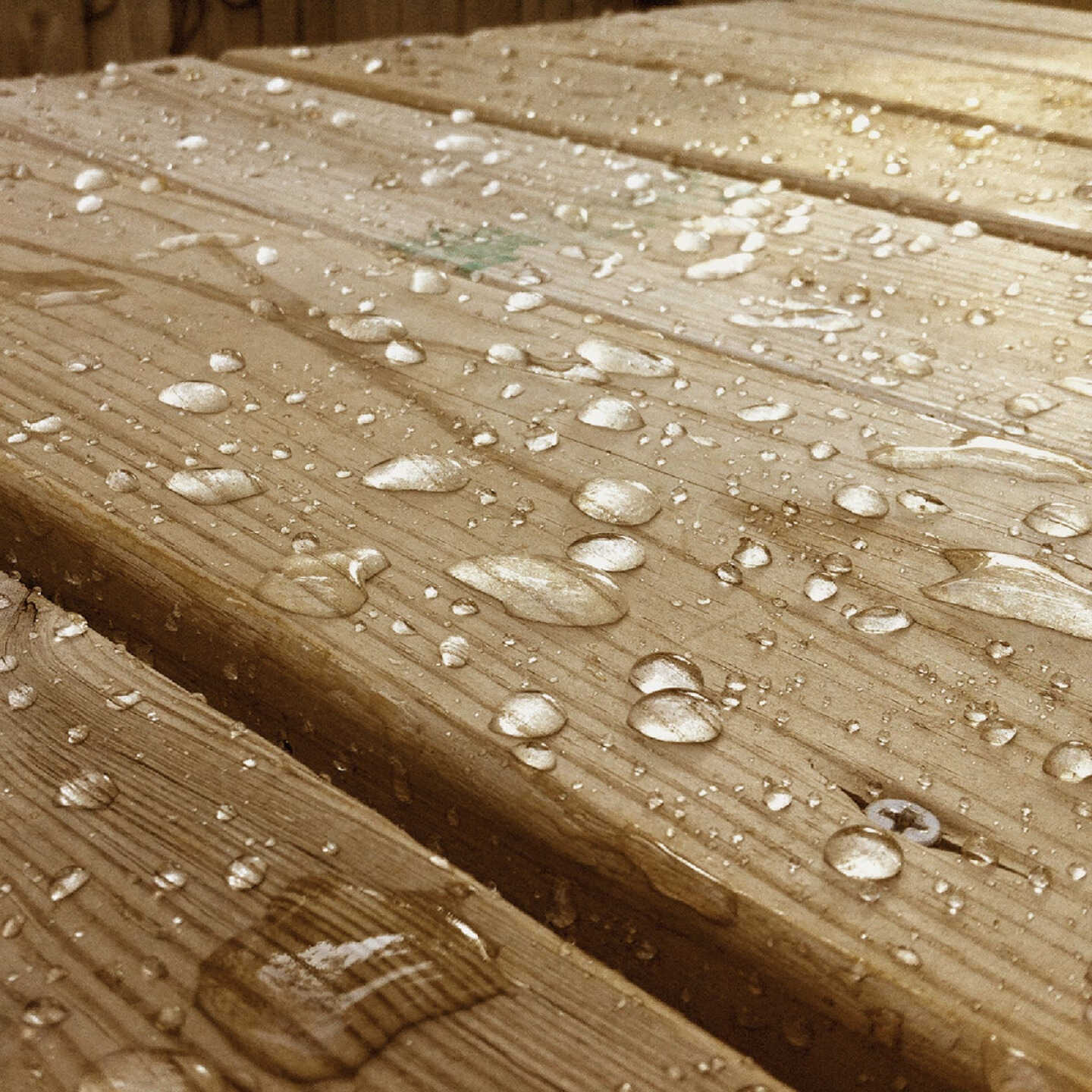 Eco Advance Exterior Wood Water Repellent Sealer, 1 Gal., Clear Image 3