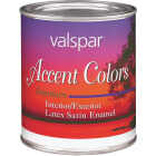 YELLOW BS ACCENT ENAMEL Image 1