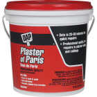 DAP 8 Lb. White Plaster of Paris Image 1