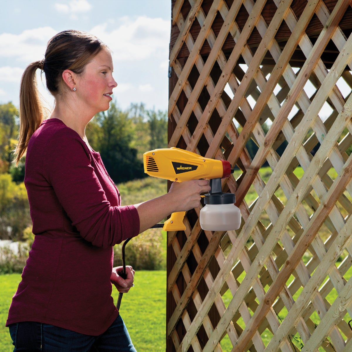 Wagner Control Spray Lite Duty Sprayer Image 2