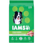 IAMS Proactive Health Minichunks 15 Lb. Adult Dry Dog Food Image 1
