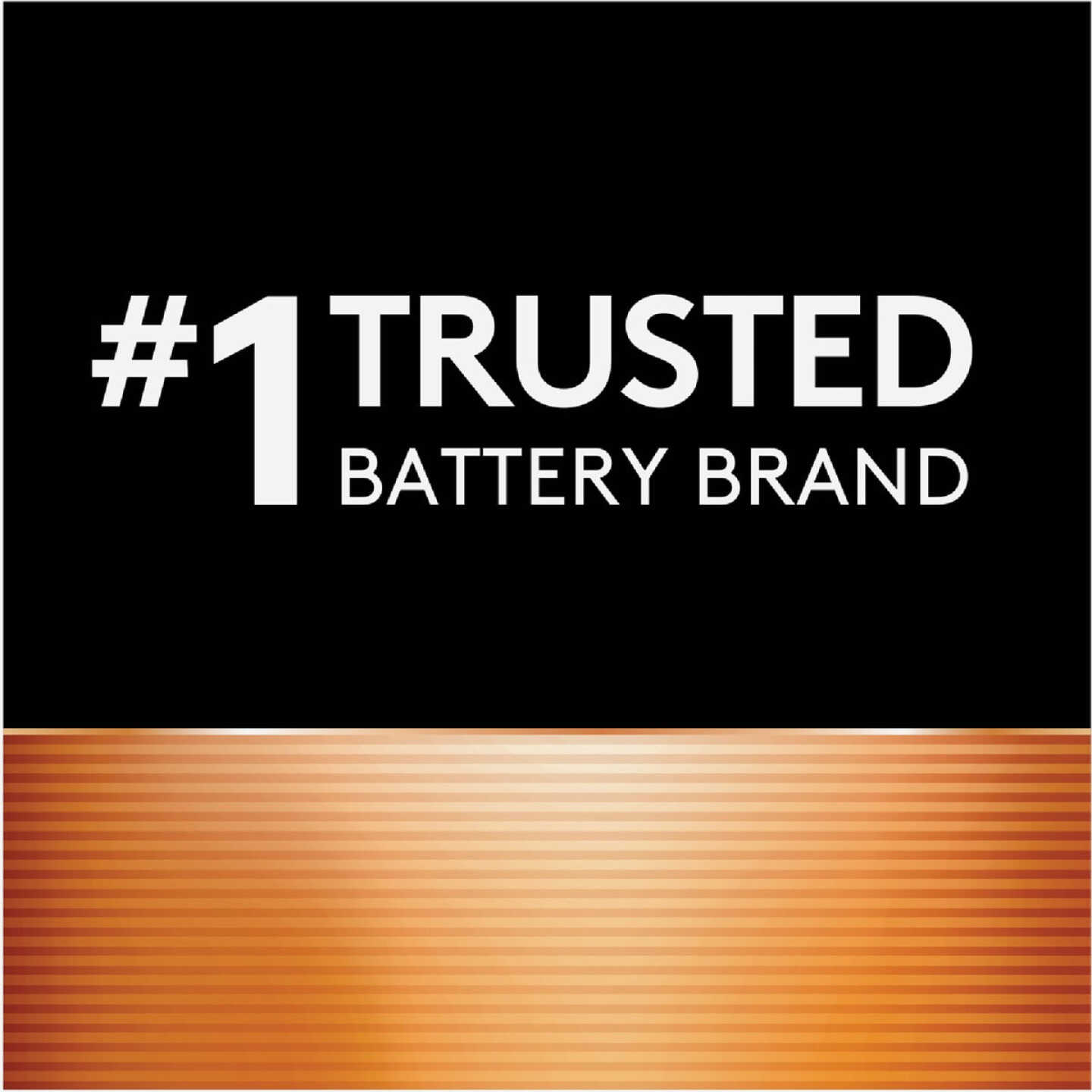 Duracell Ion Speed 4000 AA & AAA Ion Core NiMH Battery Charger Image 5