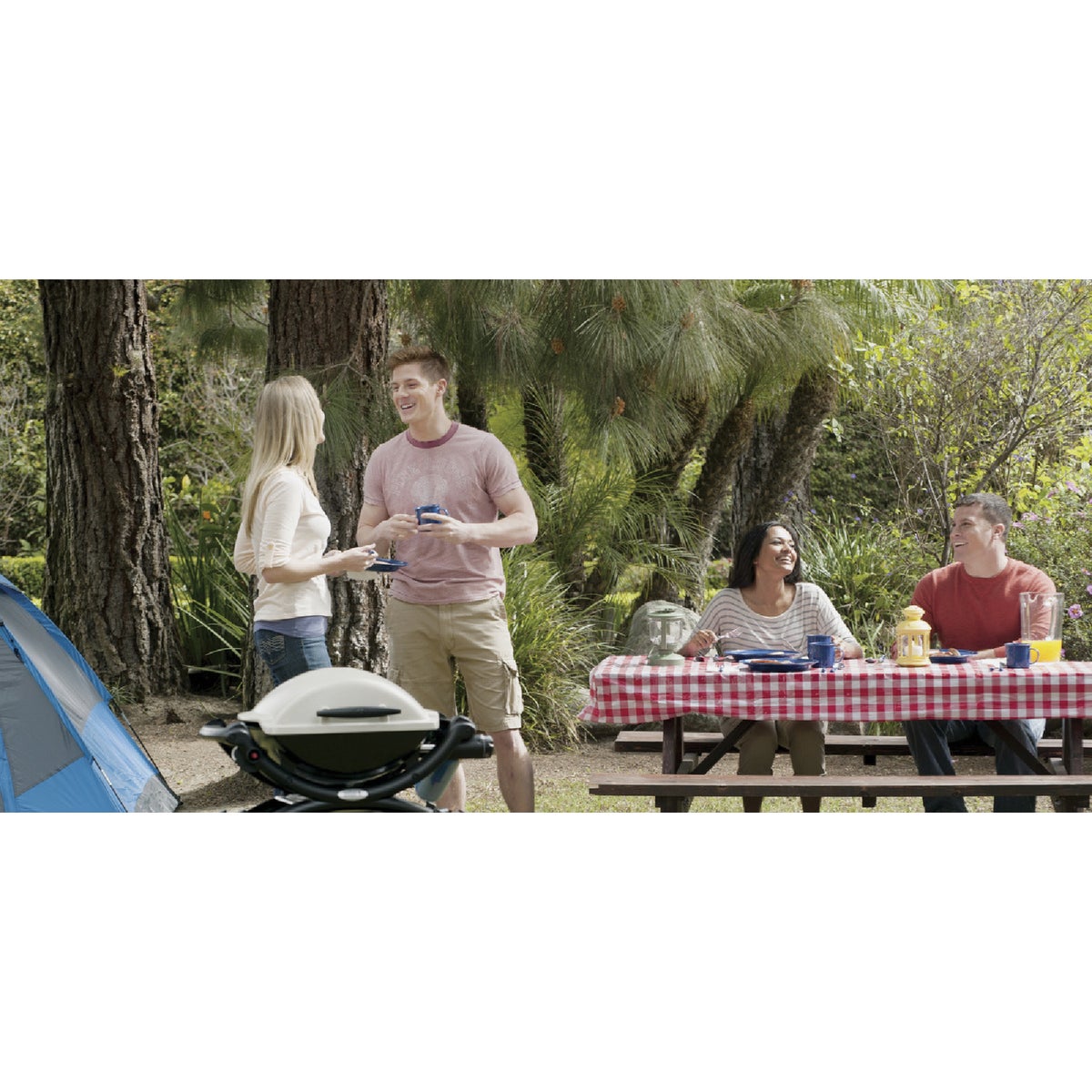 Weber Q 1000 1-Burner Silver 8,500-BTU LP Gas Grill Image 4