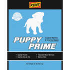 Kent Puppy Prime 20 Lb. Dry Dog Food Image 1
