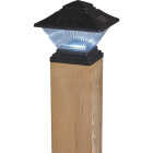 6" 2PK POST SOLAR LIGHT Image 2